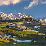 Altitude50 *