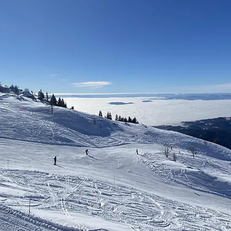 Altitude50 *