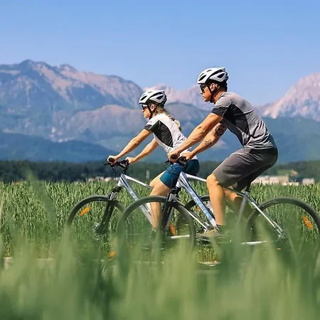 Altitude50 Apartament