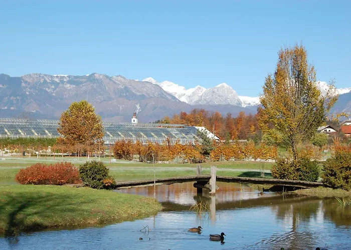 Altitude50 Appartamento Domžale